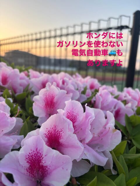こんにちは♪
ホンダカーズ中央佐賀鹿島店です。
ホンダには、ガソリンを使わない、
電気だけで走るN-...