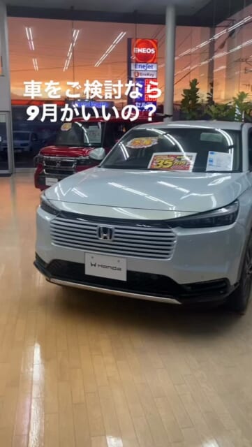 MR.MARON
こと
栗ちゃん🌰